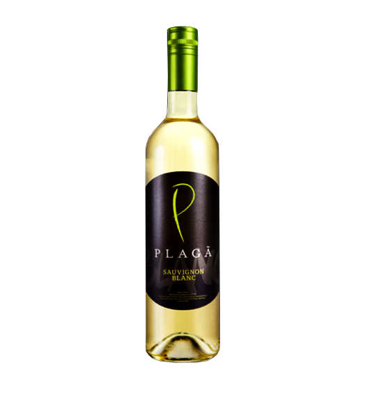 Plaga Sauvignon Blanc